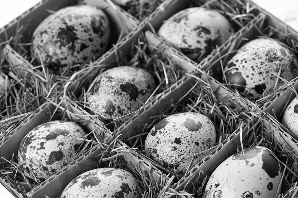 Image of safely packed speckled eggs in a divided cardboard box with straw padding denoting the extra care complex divorce matters require.